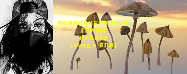 ГАЛЛЮЦИНОГЕННЫЕ ГРИБЫ Богородицк