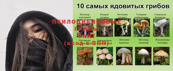 наркотики Богородск