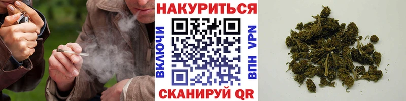 Шишки марихуана OG Kush  дарнет шоп  Костерёво 
